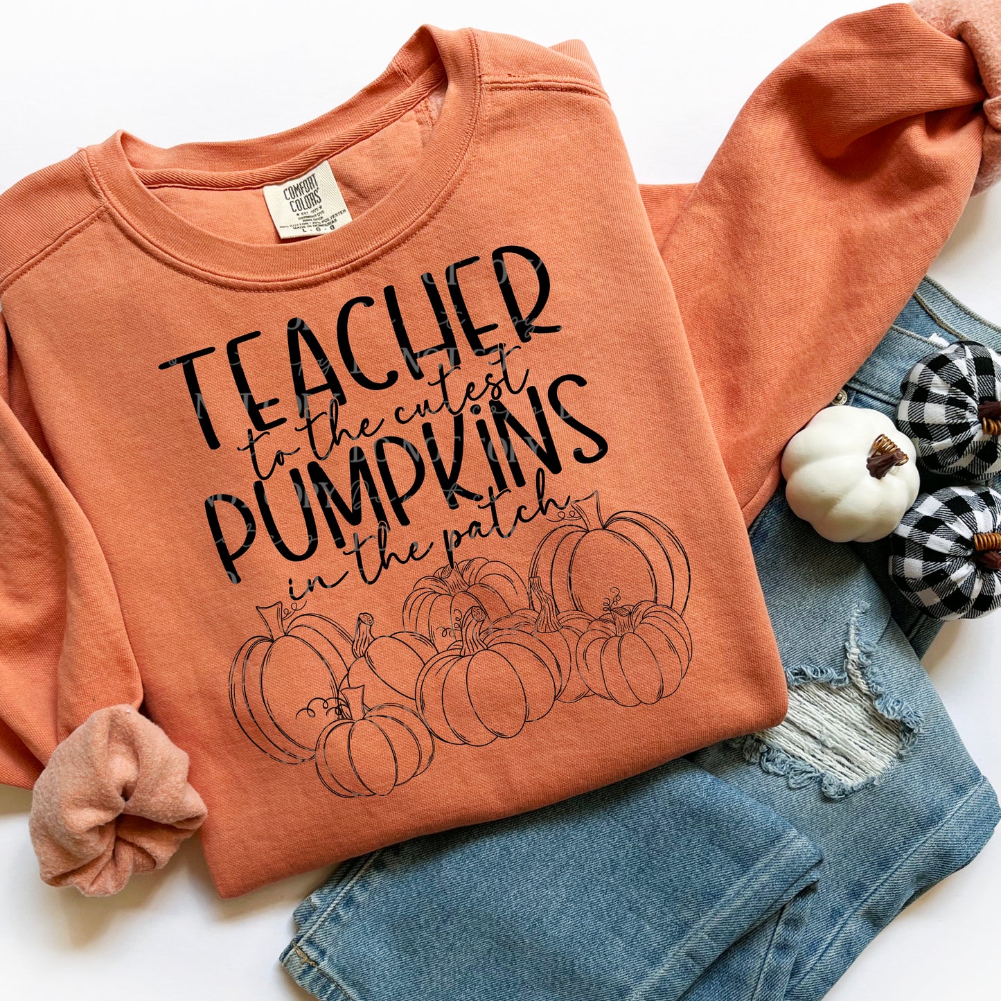 Teacher to the cutest pumpkins in the patch