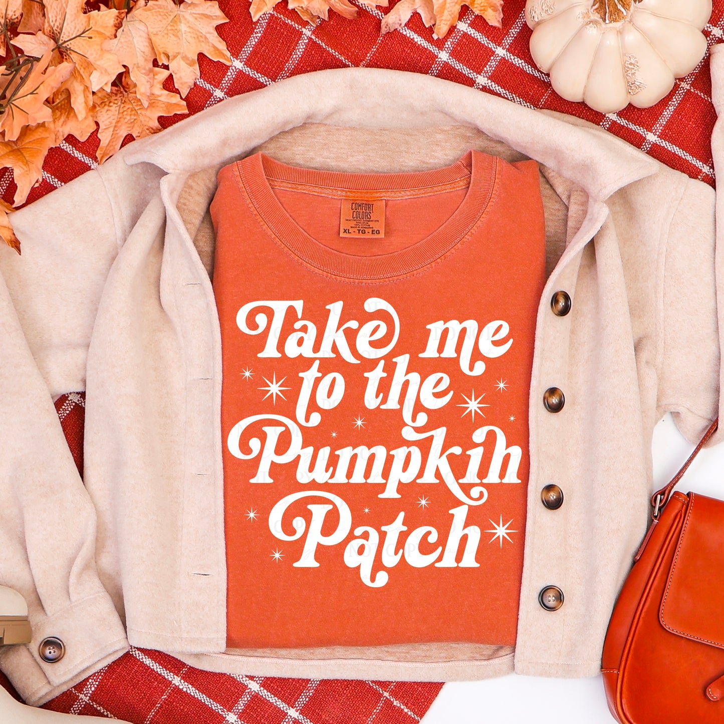Take me to the Pumpkin Patch