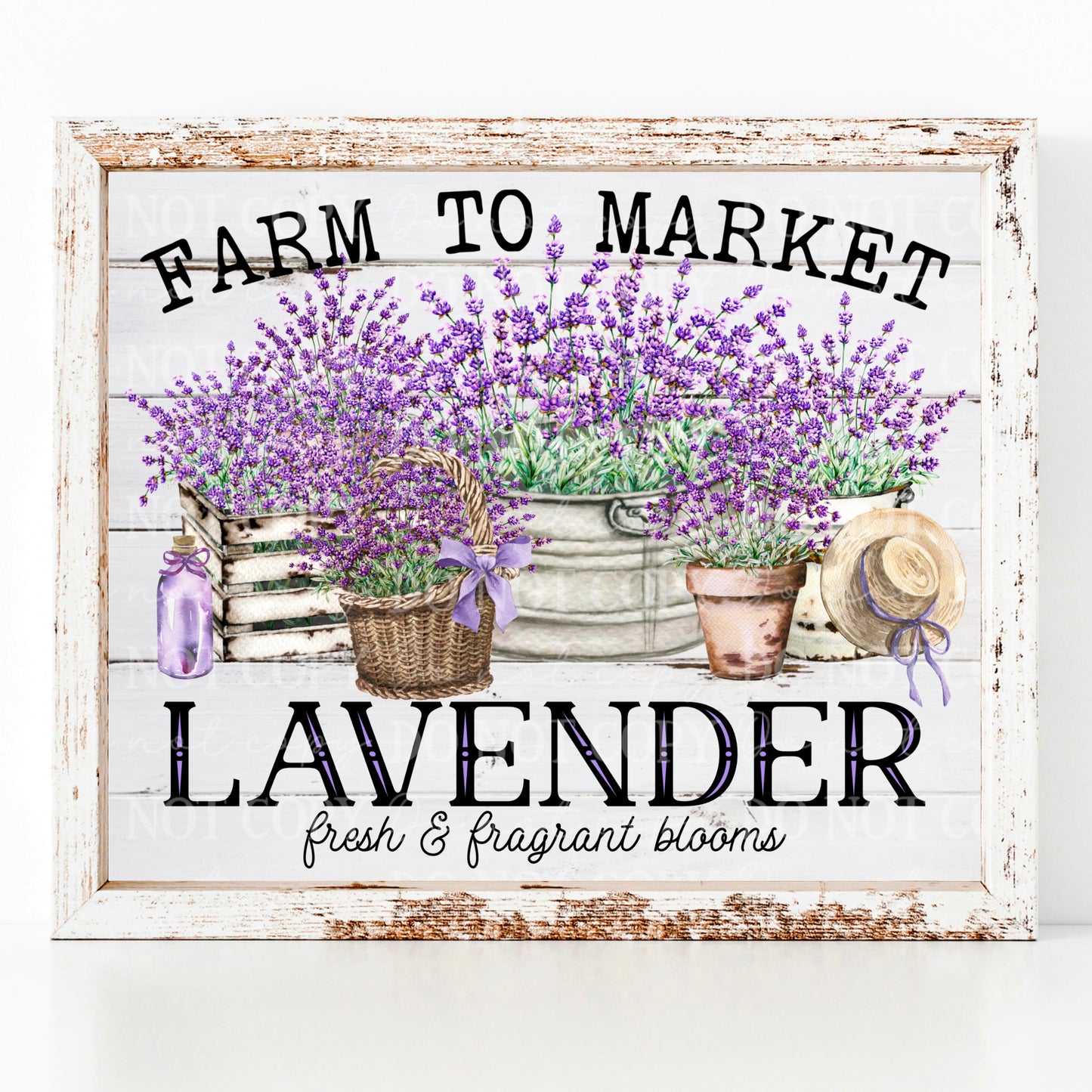 Farm to Market Lavender