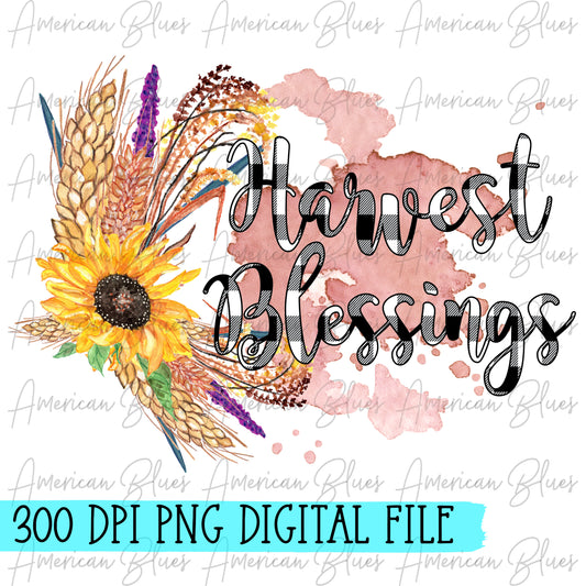 Harvest Blessing-checkered & blush