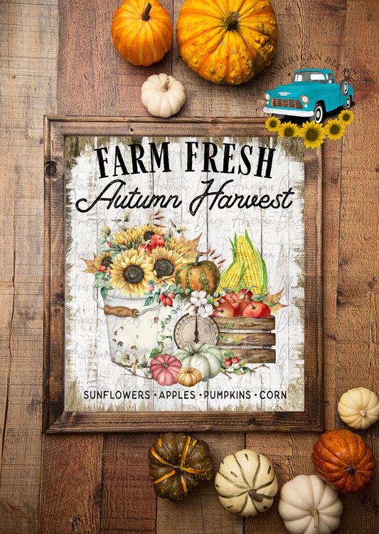 Farm Fresh Autumn Harvest