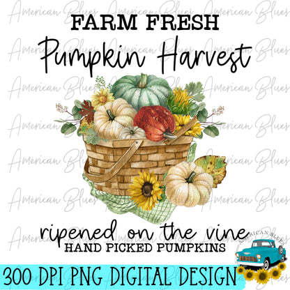 Farm Fresh Pumpkin Harvest