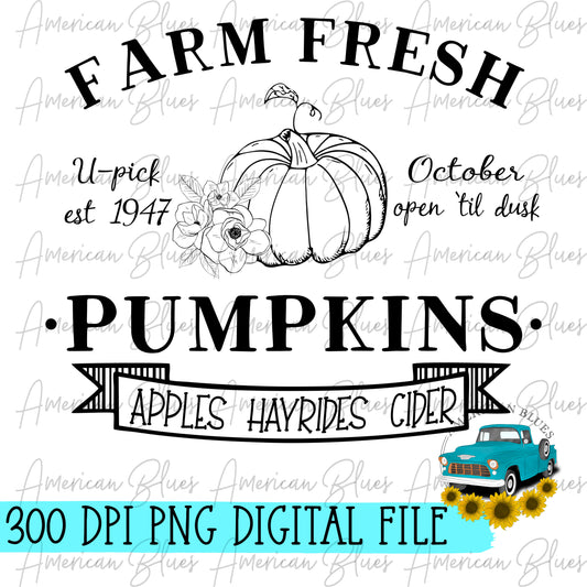 Farm Fresh Pumpkins-lineart magnolias